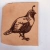 quail