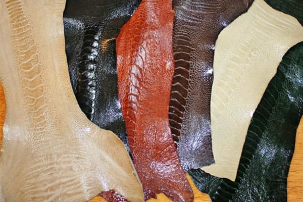 ostrich-skin-leg
