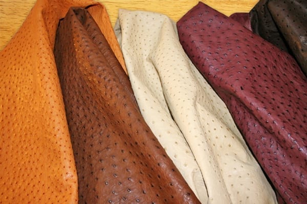 ostrich-skin