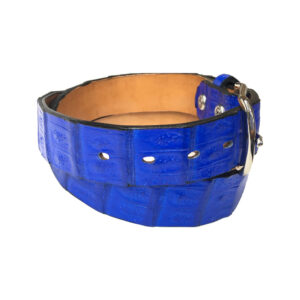 Blue-Alligator-belt-back