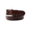 american-alligator-brown-belt