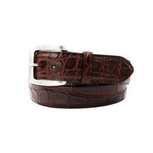 american-alligator-brown-belt